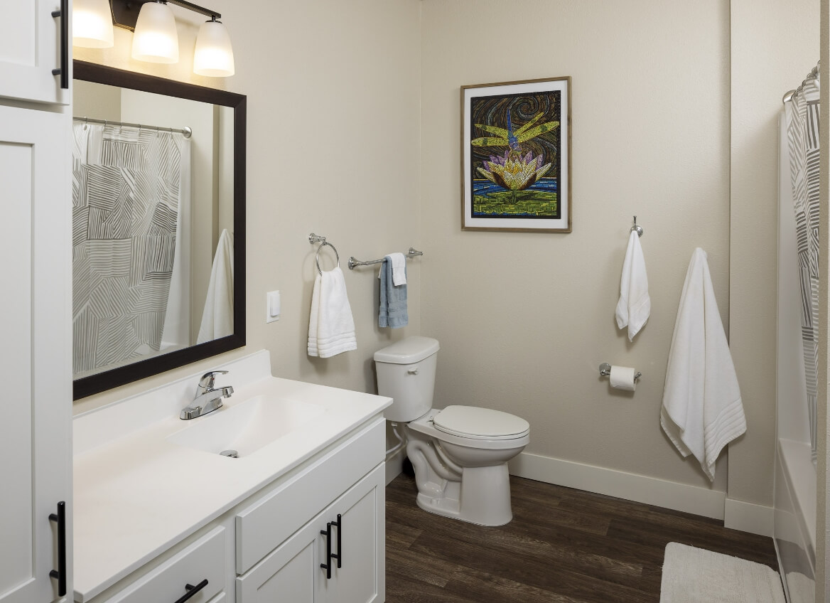 Accessible bathroom with white vanity
