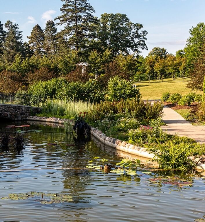 Tranquil garden pond with lush greenery and a walking path in Minnesota