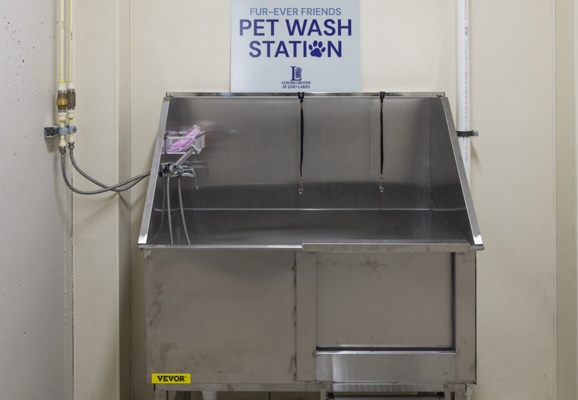 Pet washing station with sprayer and holding area, located in the basement level