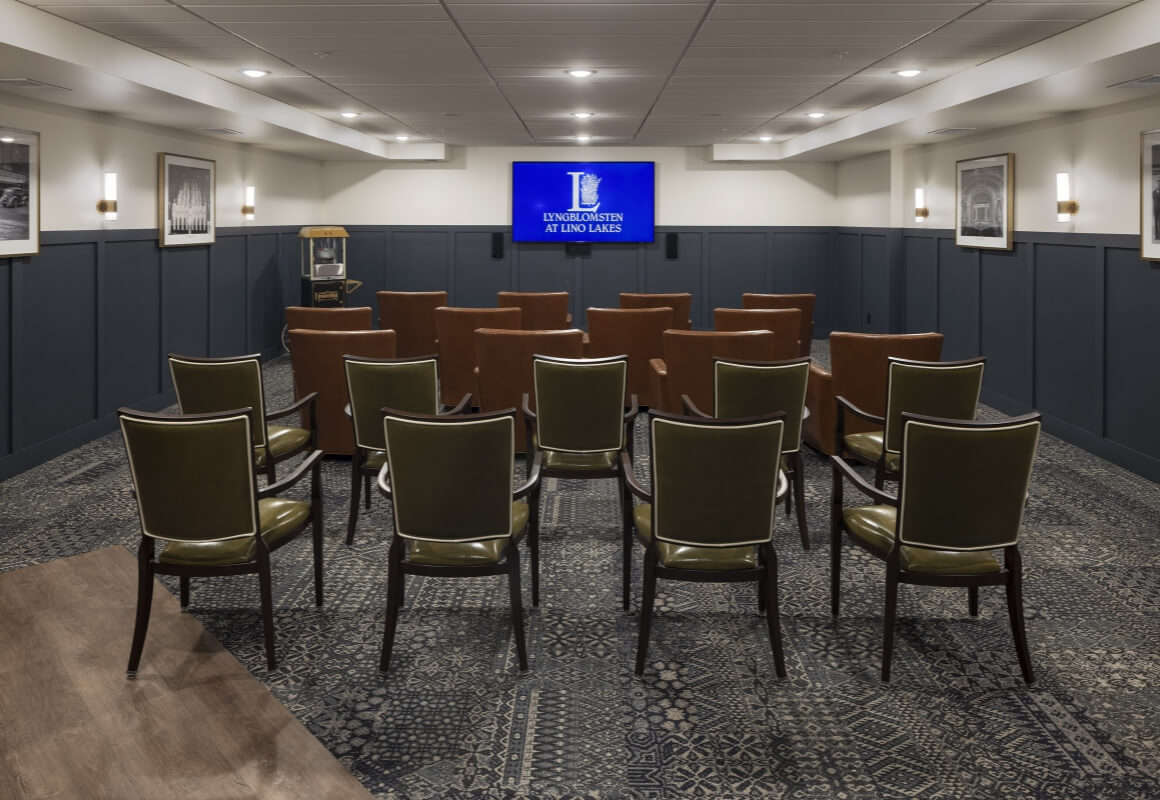 Theater room with lounge seating