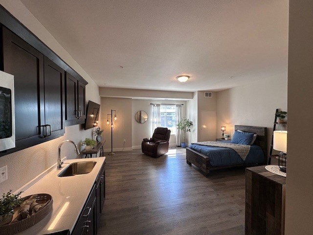 Lino Lakes Respite Care: kitchen, living room area, and bed